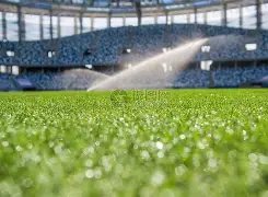 谢娜孕肚显,怀拍广告,妆容精致更,千亿体育官网,千亿体育平台,千亿体育链接,千亿体育官方