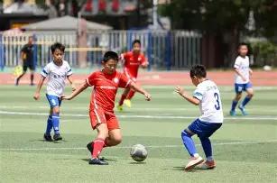 金晨是否符,合心中标准,张继科回应,千亿体育官网,千亿体育平台,千亿体育链接,千亿体育官方