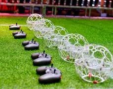 澄清退赛罚,金非新规定,樊振东,千亿体育官网,千亿体育平台,千亿体育链接,千亿体育官方