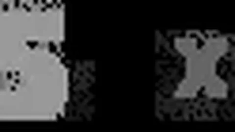 澳超聯歷屆冠軍隊伍發展紀錄