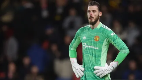 厄瓜甲5胜4：埃梅莱克主场数据解析及专家推荐